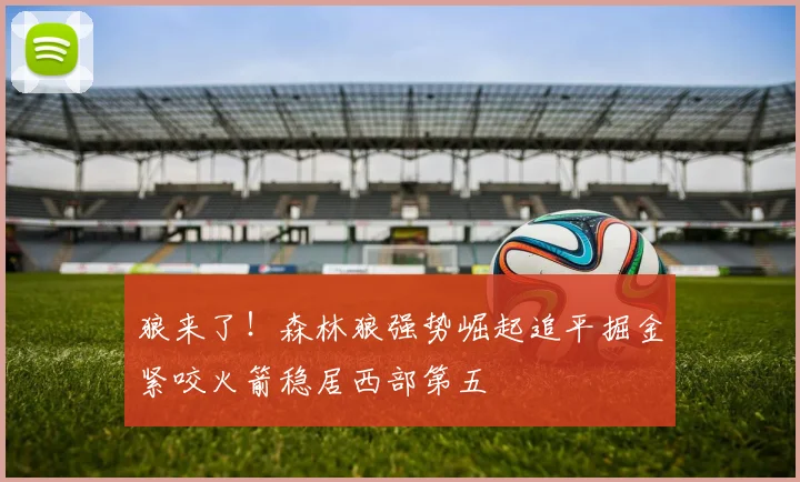 狼来了！森林狼强势崛起追平掘金紧咬火箭稳居西部第五